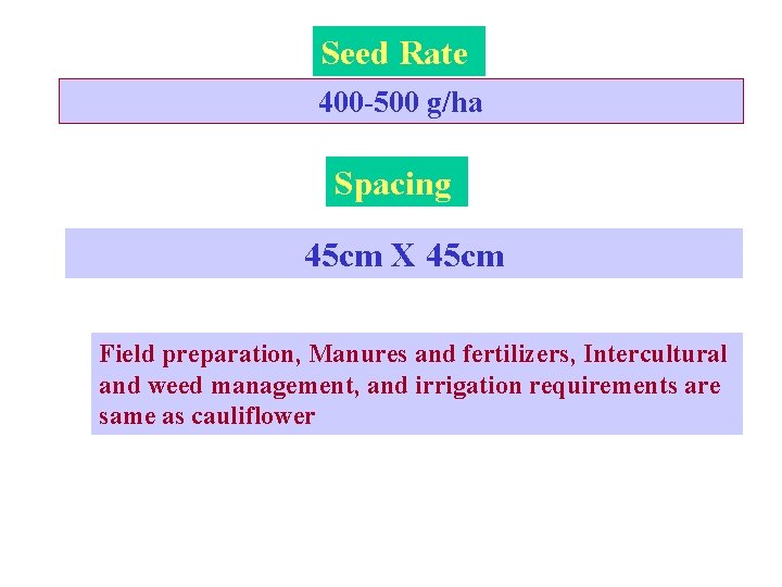 Seed Rate 400 -500 g/ha Spacing 45 cm X 45 cm Field preparation, Manures