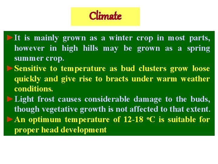 Climate ►It is mainly grown as a winter crop in most parts, however in