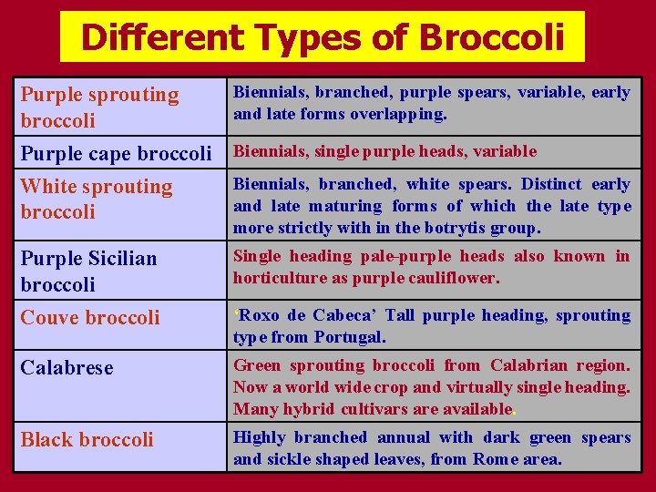Different Types of Broccoli Purple sprouting broccoli Purple cape broccoli White sprouting broccoli Biennials,