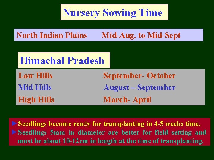 Nursery Sowing Time North Indian Plains Mid-Aug. to Mid-Sept Himachal Pradesh Low Hills Mid