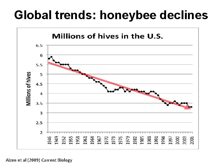 Global trends: honeybee declines Aizen et al (2009) Current Biology 