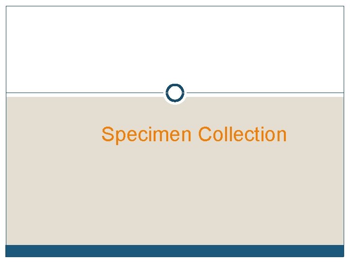 Specimen Collection 