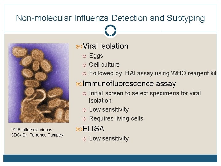 Non-molecular Influenza Detection and Subtyping Viral isolation Eggs Cell culture Followed by HAI assay