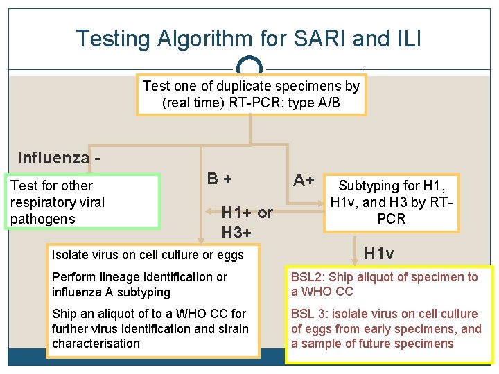 Testing Algorithm for SARI and ILI Test one of duplicate specimens by (real time)