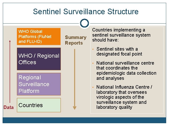 Sentinel Surveillance Structure WHO Global Platforms (Flu. Net and FLU-ID) Summary Reports Countries implementing