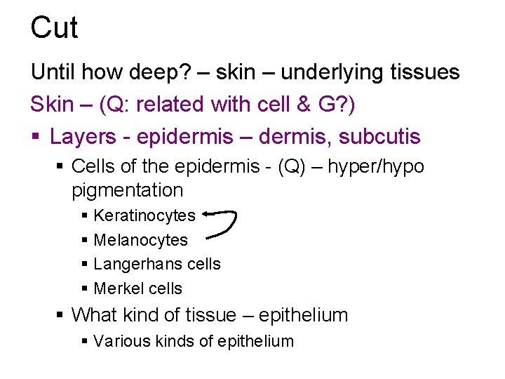 Cut Until how deep? – skin – underlying tissues Skin – (Q: related with