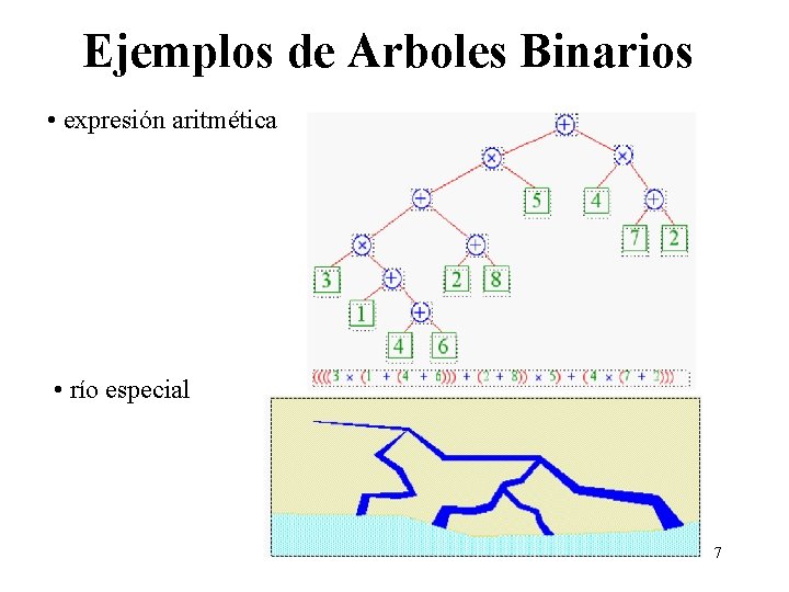 Ejemplos de Arboles Binarios • expresión aritmética • río especial 7 