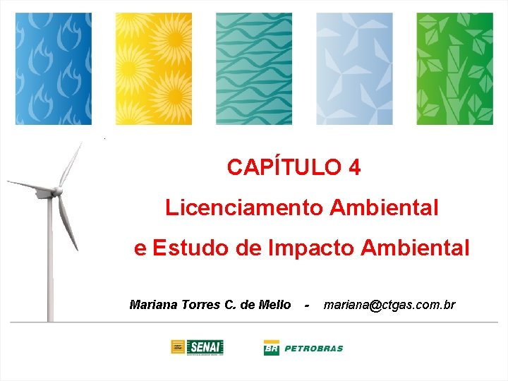 CAPÍTULO 4 Licenciamento Ambiental e Estudo de Impacto Ambiental Mariana Torres C. de Mello