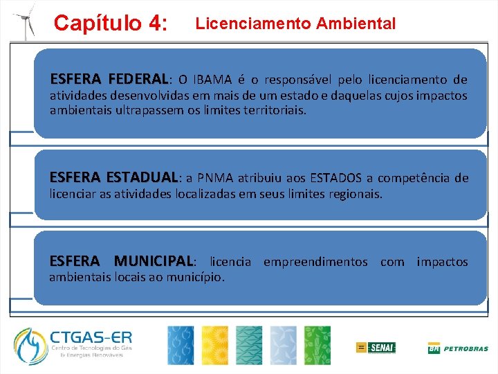 Capítulo 4: Licenciamento Ambiental ESFERA FEDERAL: O IBAMA é o responsável pelo licenciamento de