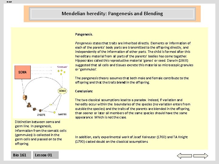 Her 104 Mendelian heredity: Pangenesis and Blending Pangenesis states that traits are inherited directly.