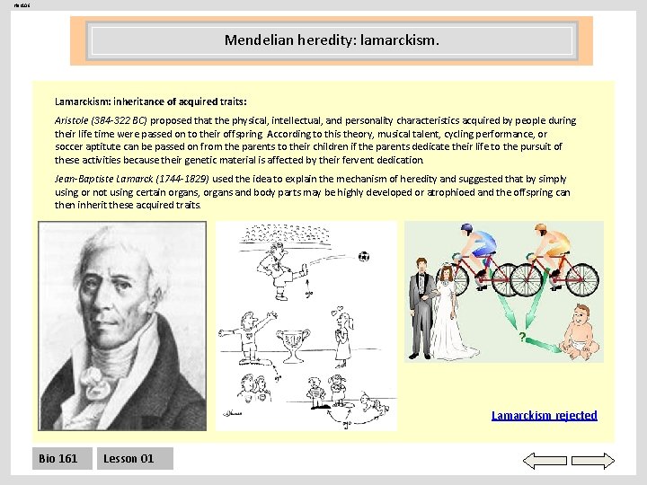 Her 106 Mendelian heredity: lamarckism. Lamarckism: inheritance of acquired traits: Aristole (384 -322 BC)