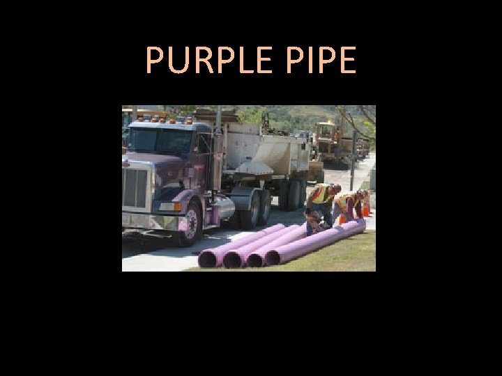 PURPLE PIPE 