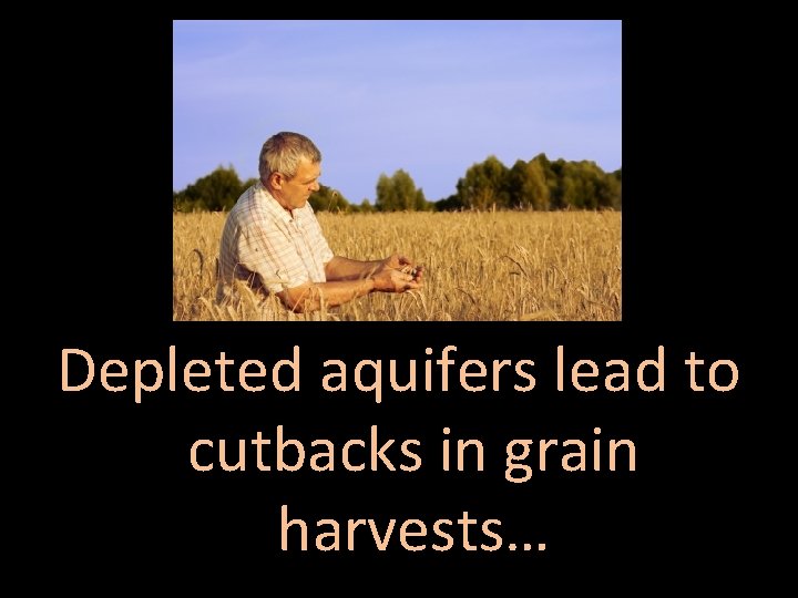 Depleted aquifers lead to cutbacks in grain harvests… 