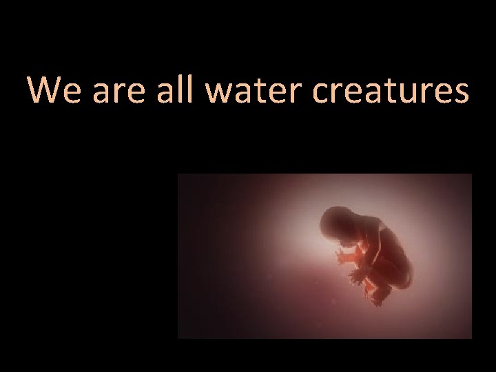 We are all water creatures 