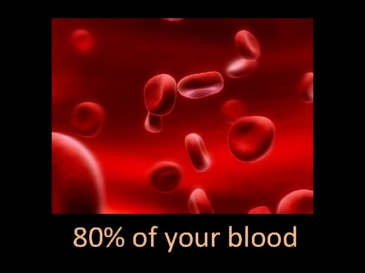 80% of your blood 