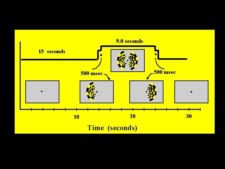 9. 0 seconds 15 seconds 500 msec 10 20 Time (seconds) 30 