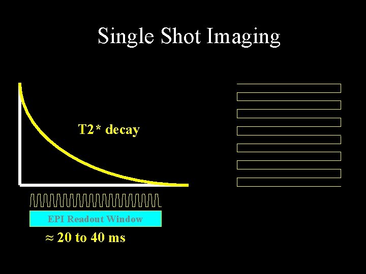 Single Shot Imaging T 2* decay EPI Readout Window ≈ 20 to 40 ms
