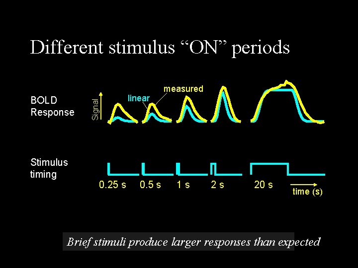 BOLD Response Stimulus timing Signal Different stimulus “ON” periods 0. 25 s linear 0.