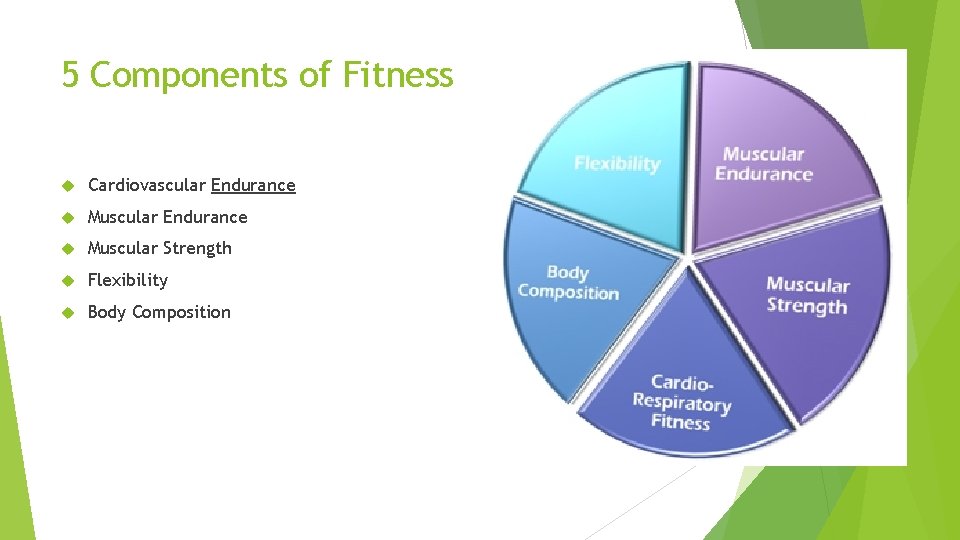 5 Components of Fitness Cardiovascular Endurance Muscular Strength Flexibility Body Composition 
