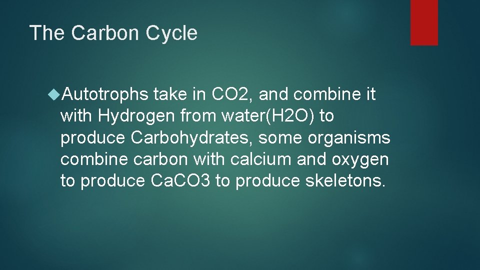 The Carbon Cycle Autotrophs take in CO 2, and combine it with Hydrogen from