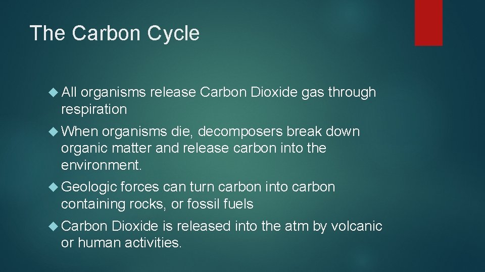 The Carbon Cycle All organisms release Carbon Dioxide gas through respiration When organisms die,