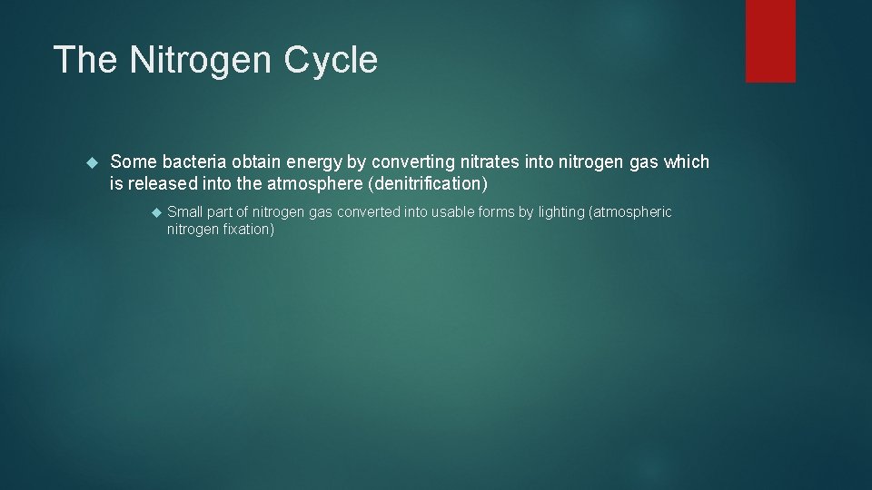 The Nitrogen Cycle Some bacteria obtain energy by converting nitrates into nitrogen gas which
