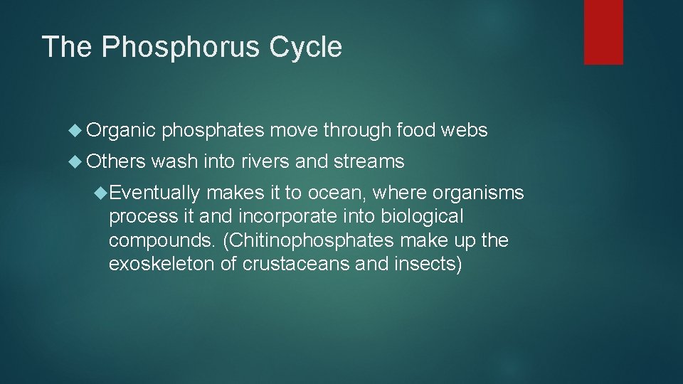 The Phosphorus Cycle Organic Others phosphates move through food webs wash into rivers and