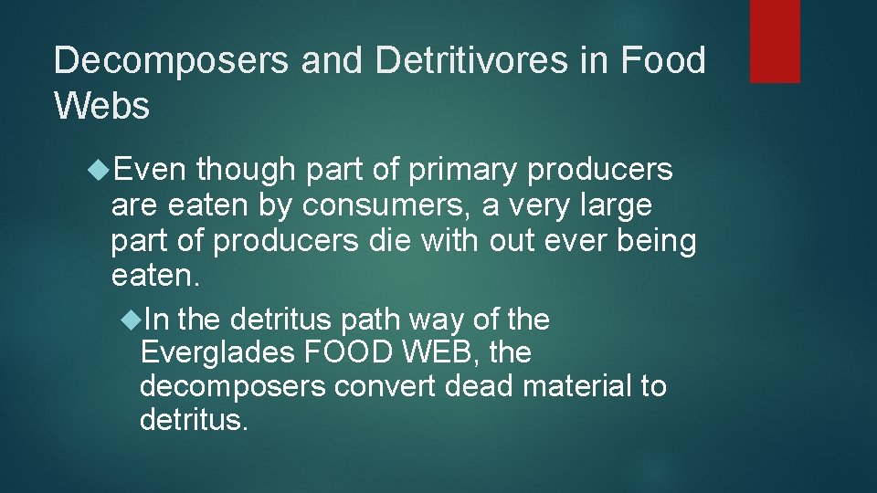 Decomposers and Detritivores in Food Webs Even though part of primary producers are eaten