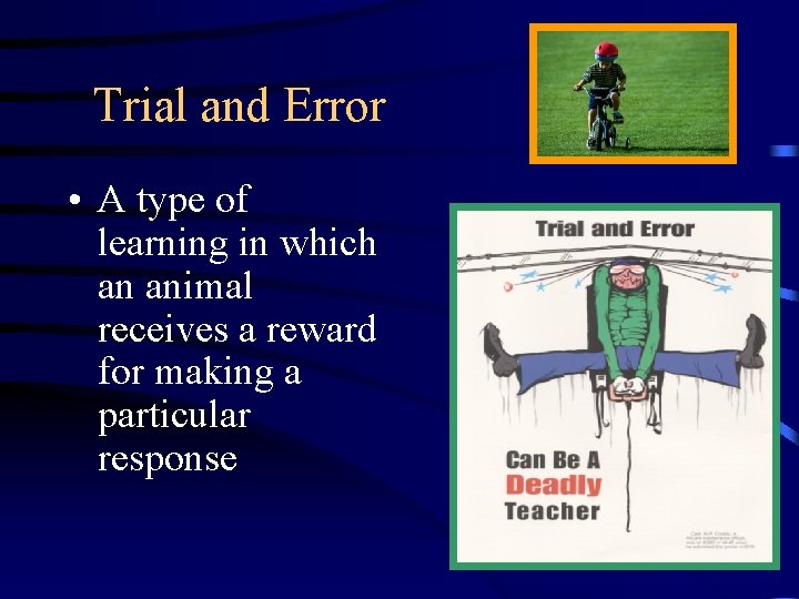 Trial and Error • A type of learning in which an animal receives a Trial and Error • A type of learning in which an animal receives a