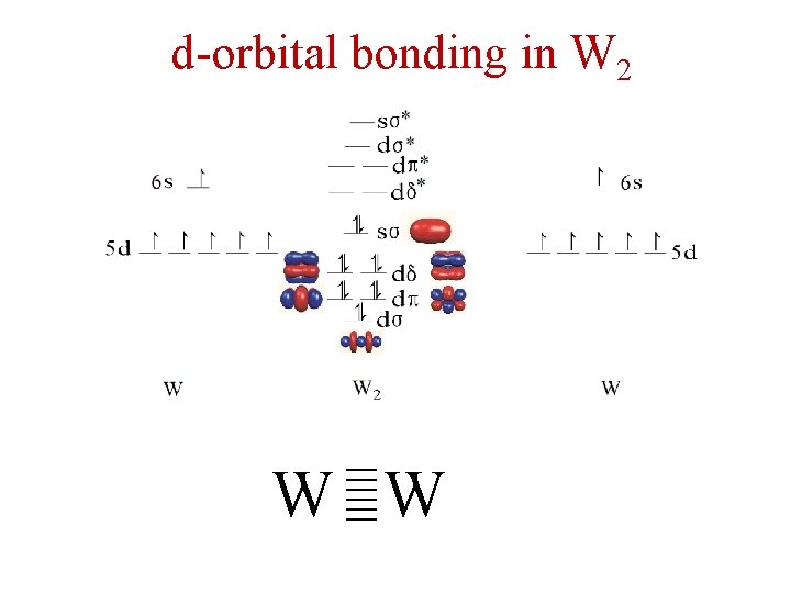 d-orbital bonding in W 2 ≡ W ≡W 