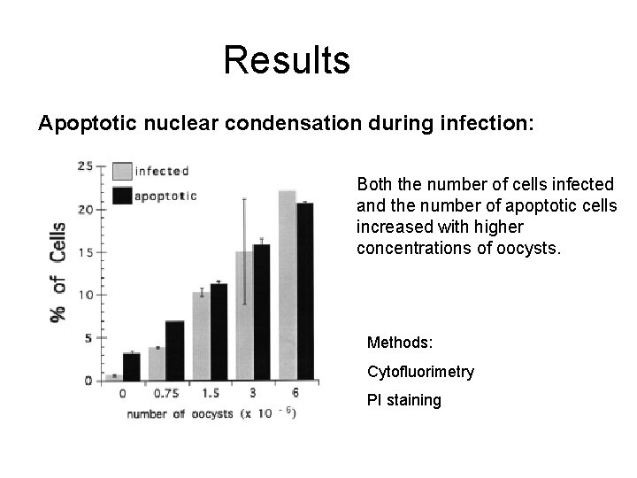 Results Apoptotic nuclear condensation during infection: Both the number of cells infected and the