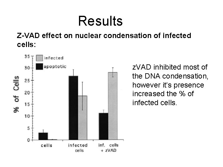 Results Z-VAD effect on nuclear condensation of infected cells: z. VAD inhibited most of