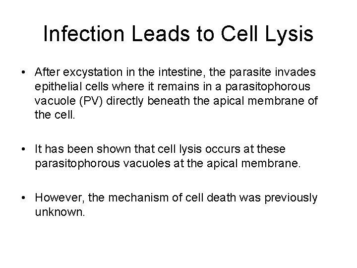 Infection Leads to Cell Lysis • After excystation in the intestine, the parasite invades