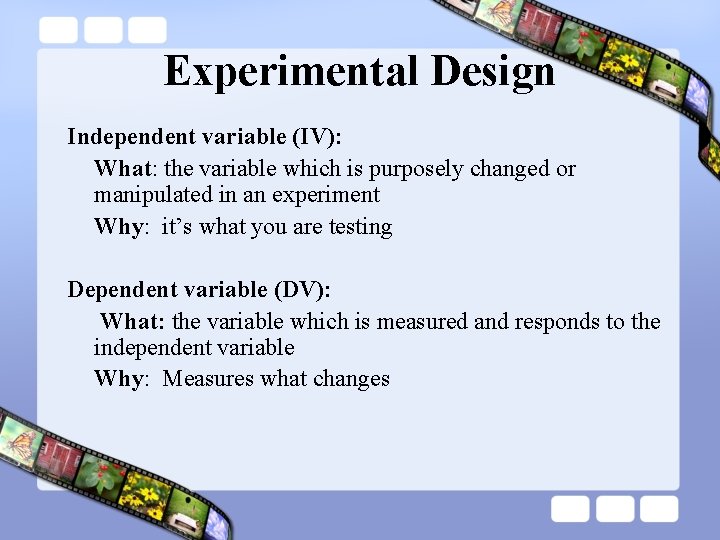 Experimental Design Independent variable (IV): What: the variable which is purposely changed or manipulated