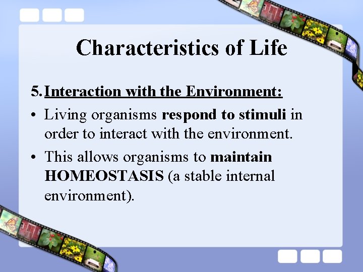 Characteristics of Life 5. Interaction with the Environment: • Living organisms respond to stimuli