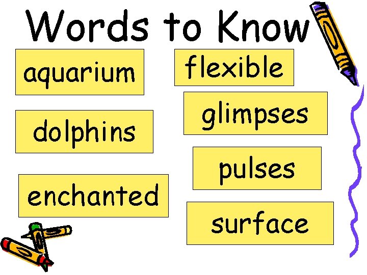 Words to Know aquarium dolphins enchanted flexible glimpses pulses surface 