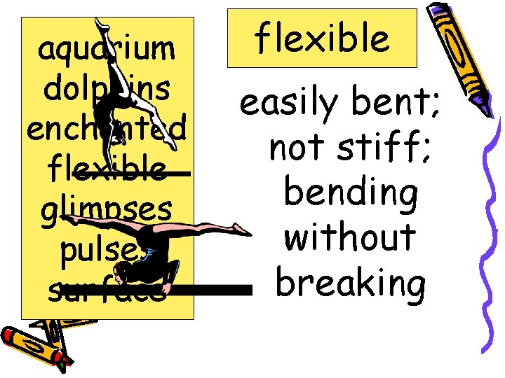 aquarium dolphins enchanted flexible glimpses pulses surface flexible easily bent; not stiff; bending without