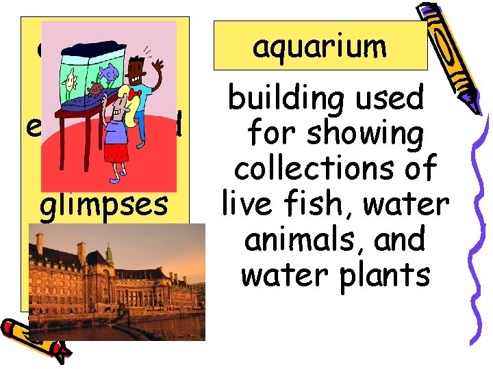 aquarium dolphins enchanted flexible glimpses pulses surface aquarium building used for showing collections of