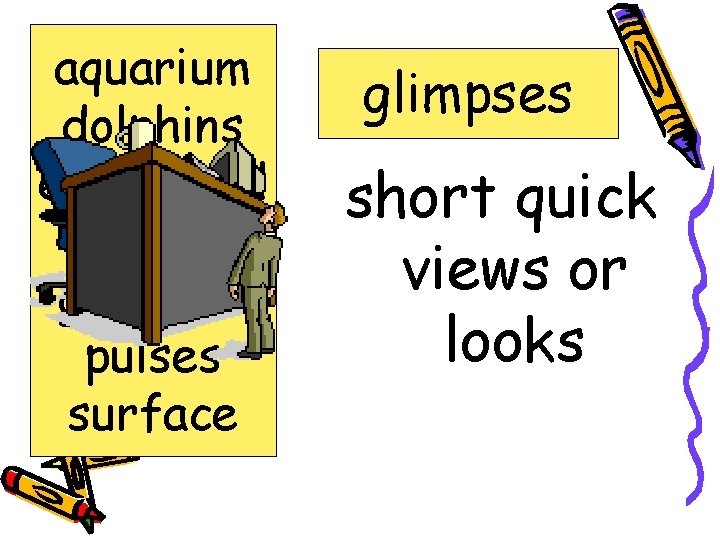 aquarium dolphins enchanted flexible glimpses pulses surface glimpses short quick views or looks 