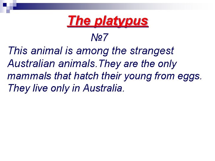 The platypus № 7 This animal is among the strangest Australian animals. They are