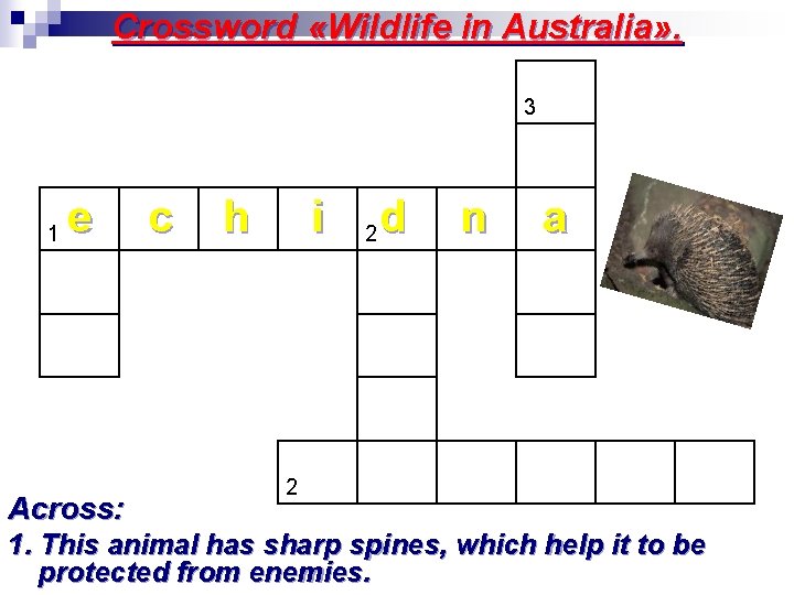 Crossword «Wildlife in Australia» . 3 1 e c h i d n 2