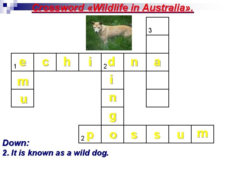 Crossword «Wildlife in Australia» . 3 1 e m u Down: c h i