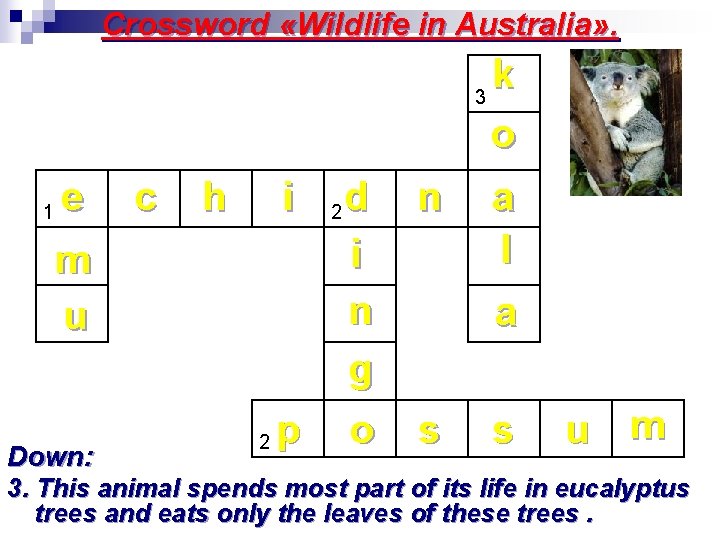 Crossword «Wildlife in Australia» . k 3 o 1 e m u Down: c