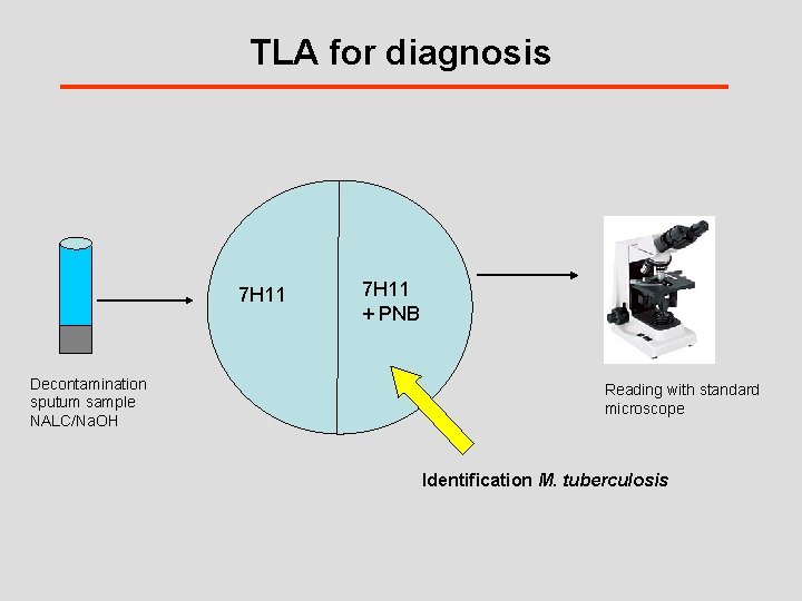 TLA for diagnosis 7 H 11 Decontamination sputum sample NALC/Na. OH 7 H 11