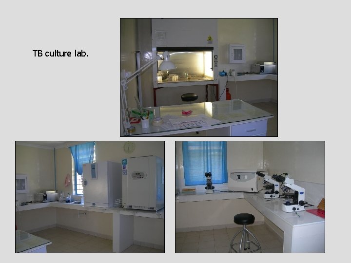 TB culture lab. 