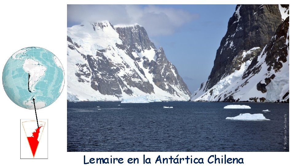 Lemaire en la Antártica Chilena 