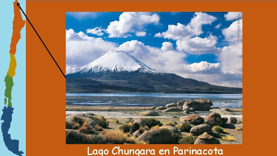 Lago Chungara en Parinacota 