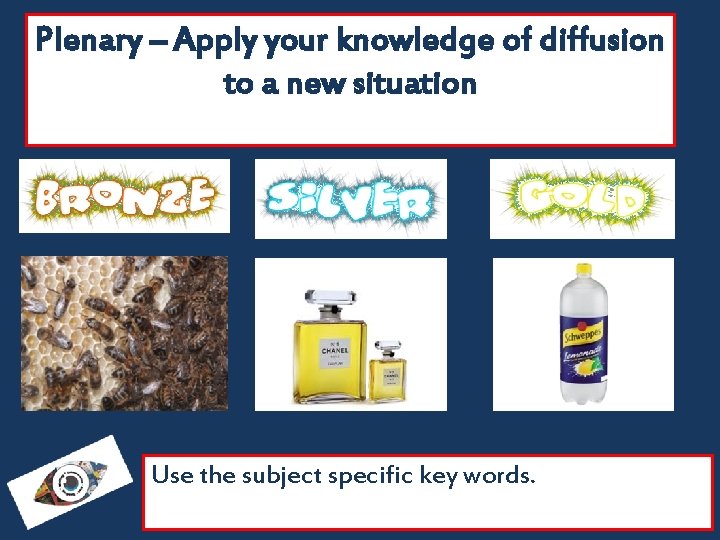 Plenary – Apply your knowledge of diffusion to a new situation Use the subject