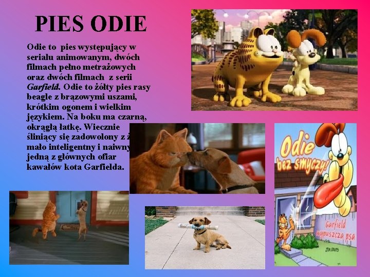 PIES ODIE Odie to pies występujący w serialu animowanym, dwóch filmach pełno metrażowych oraz