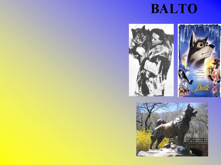 BALTO 